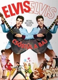 Csőstül a baj (DVD)