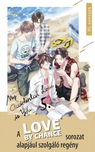 Love By Chance - My Accidental Love is You 5.
