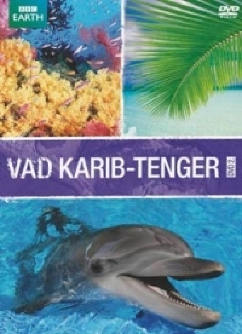 Vad Karib-tenger 2. (DVD)