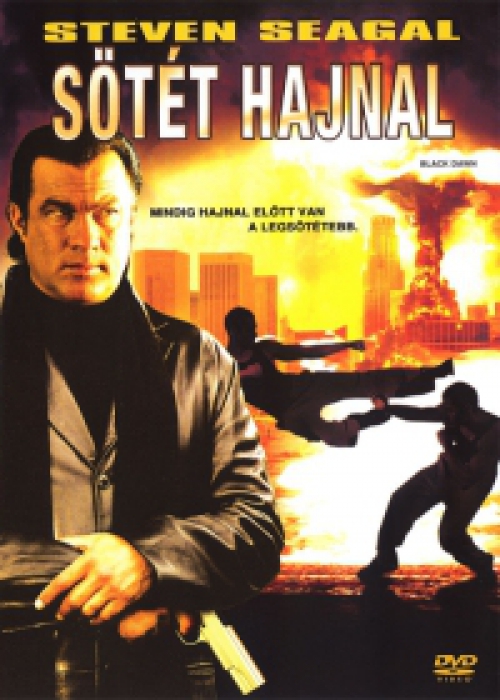 Sötét hajnal (DVD) *Steven Seagal - Antikvár - Kiváló állapotú*