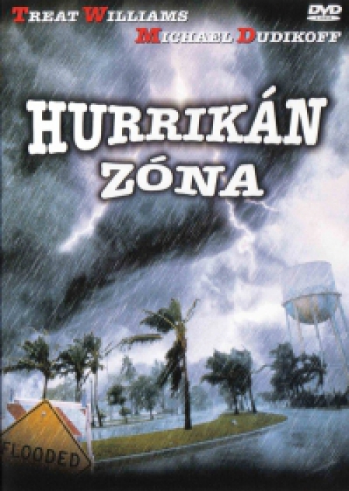 Hurrikán zóna (DVD) *Katasztrófafilm - Treat Williams - Michael Dudikoff - Antikvár - Kiváló állapotú*
