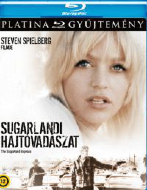 Sugarlandi hajtóvadászat (Blu-ray) *Magyar kiadás - Antikvár - Kiváló állapotú*