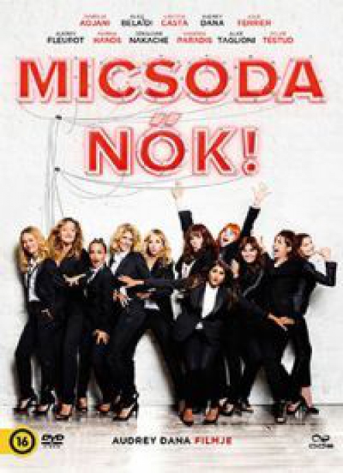 Micsoda nők! (2014) (DVD) *Antikvár - Kiváló állapotú*