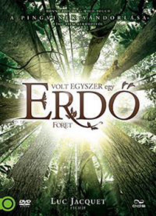 Volt egyszer egy erdő (DVD)