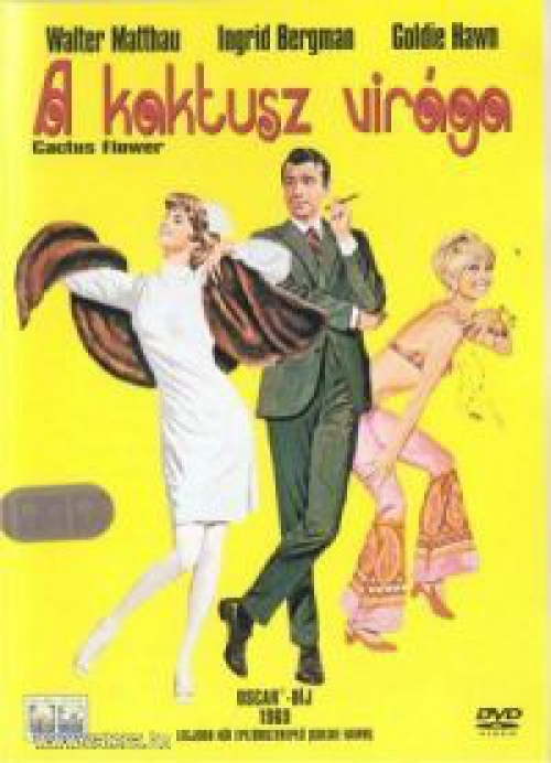 A kaktusz virága (DVD) *Magyar kiadás - Antikvár - Kiváló állapotú*