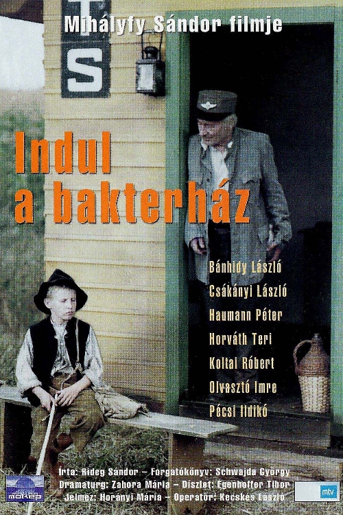 Indul a bakterház (DVD) *Koltai Róbert - Haumann Péter - Antikvár - Kiváló állapotú*
