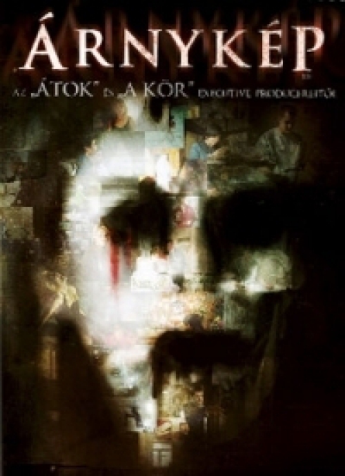 Árnykép (DVD) *Joshua Jackson - Antikvár - Kiváló állapotú*