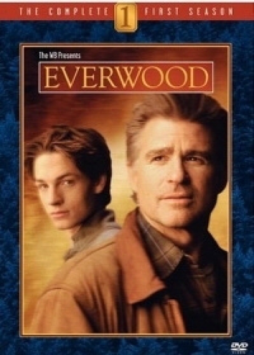 Everwood - 1. évad (6 DVD)
