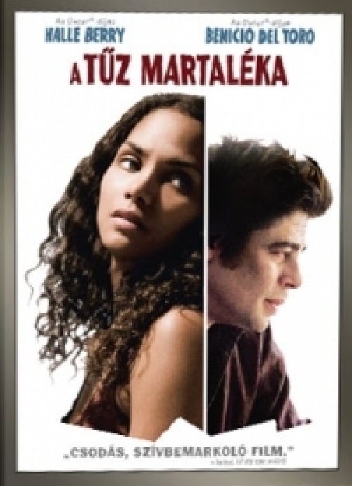 A tűz martaléka (DVD) *Halle Berry - Benicio Del Toro - Antikvár - Kiváló állapotú*