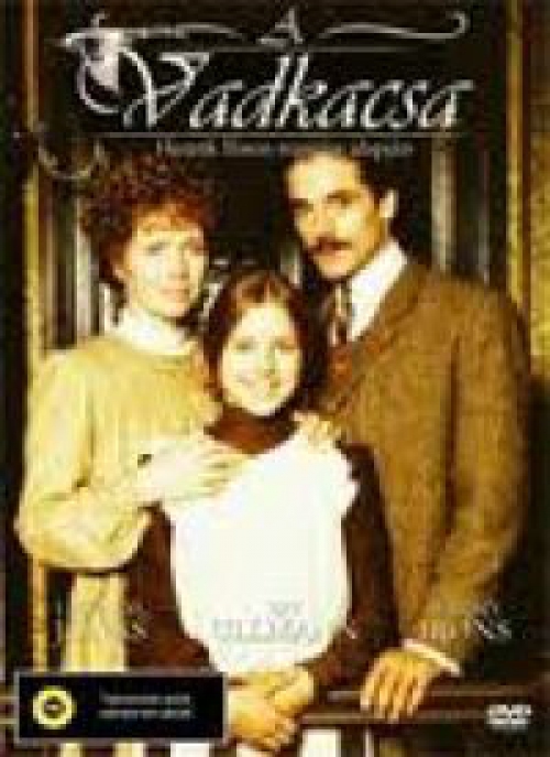 A vadkacsa (BBC) (DVD) *Jeremy Irons - Antikvár - Kiváló állapotú*