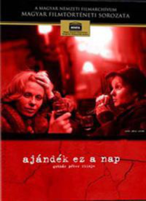 Ajándék ez a nap (MaNDA kiadás) (DVD)  *Antikvár - Kiváló állapotú*