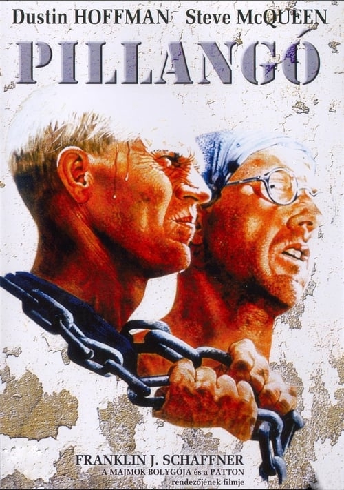 Pillangó (DVD) *Steve McQueen - Dustin Hoffmann - A világhírű könyv filmváltozata* *Antikvár - Kiváló állapotú*