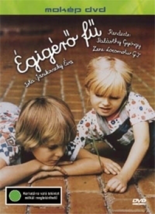 Égígérő fű (DVD)