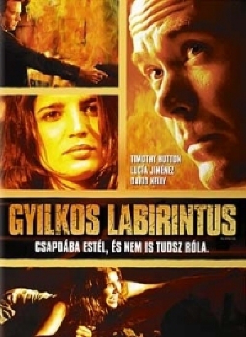 Gyilkos labirintus (DVD) *Timothy Hutton- Antikvár - Kiváló állapotú*