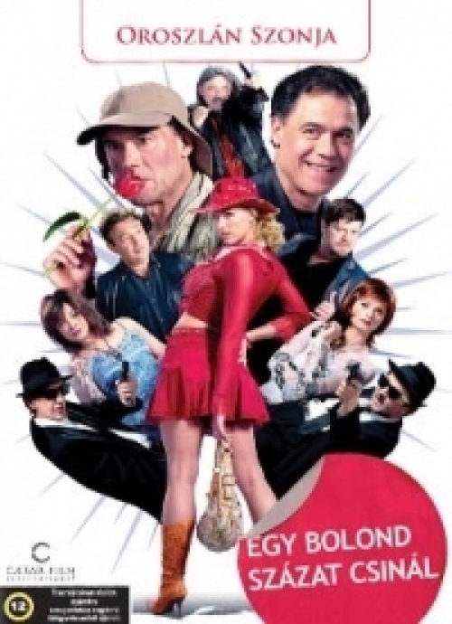 Egy bolond százat csinál (DVD) (Gáspár Sándor) *Antikvár-Kiváló állapotú*