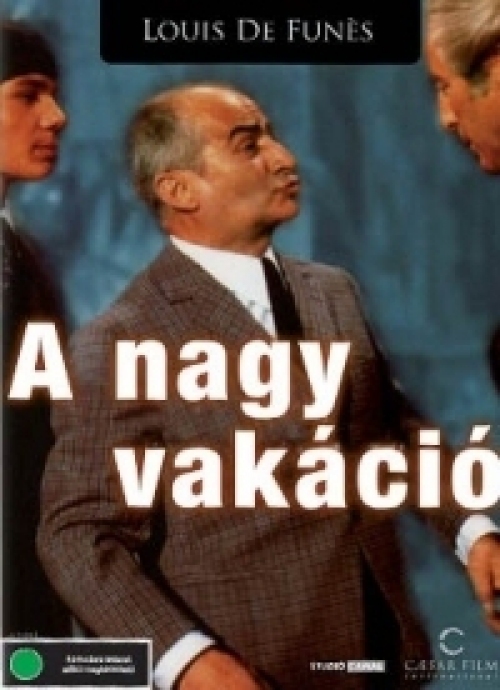 A nagy vakáció (DVD) *Louis De Funès - Antikvár - Kiváló állapotú*