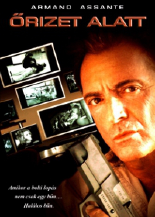 Őrizet alatt (DVD) *Armand Assante - Antikvár - Kiváló állapotú*
