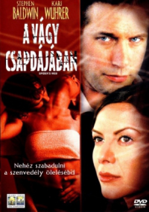 A vágy csapdájában (DVD) *Warner kiadás- Stephen Baldwin - Kari Wuhre* *Antikvár - Kiváló állapotú*