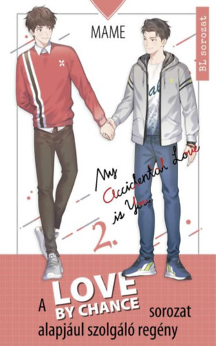 Love By Chance - My Accidental Love is You 2.