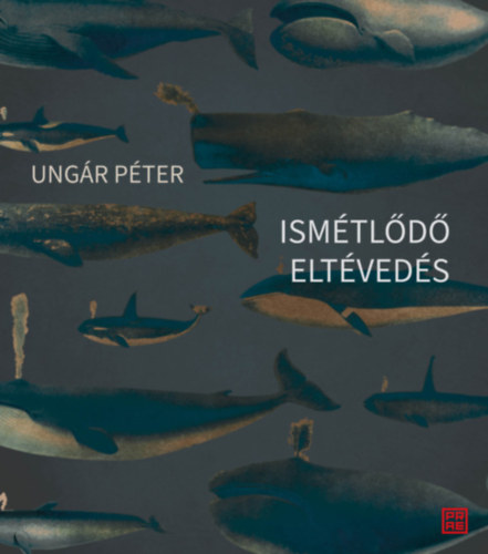 Ismétlődő eltévedés