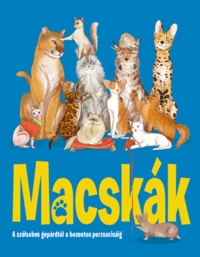 Macskák
