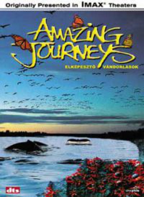 Elképesztő vándorlások (DVD) *Szinkronizált* *Antikvár - Kiváló állapotú*