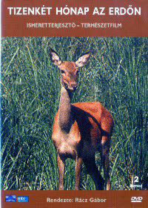 12 hónap az erdőn (2 DVD) *Extra változat - Antikvár - Kiváló állapotú*