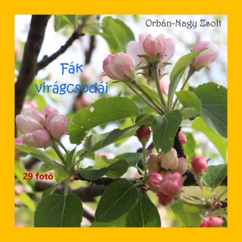 Fák virágcsodái