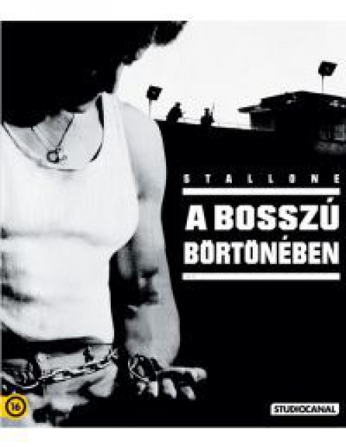 A bosszú börtönében (Blu-ray)  *Magyar kiadás - Antikvár - Kiváló állapotú* 