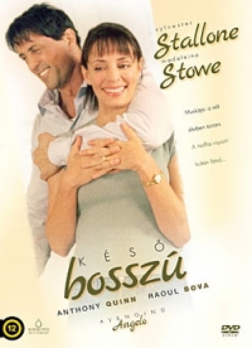 Késő bosszú (DVD) *Sylvester Stallone - Antikvár - Jó állapotú*