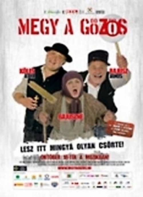 Megy a gőzös (DVD) *Koltay Róbert - Pogány Judit - Antikvár - Kiváló állapotú*