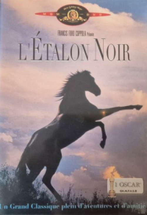 Fekete Villám (1979) (DVD) *Kelly Reno - Antikvár - Kiváló állapotú*