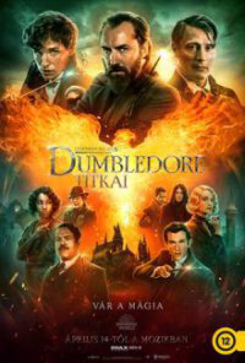 Legendás állatok: Dumbledore titkai (DVD) *Magyar szinkronnal - Import*