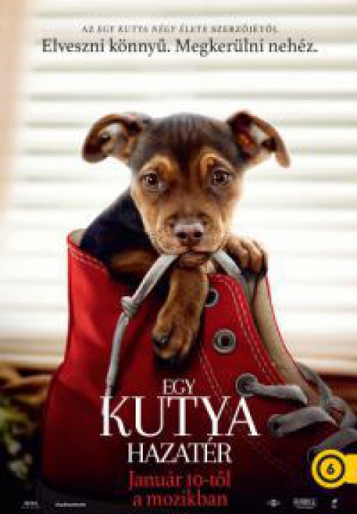 Egy kutya hazatér (DVD) *Szinkronizált - Ashley Judd - Import* 