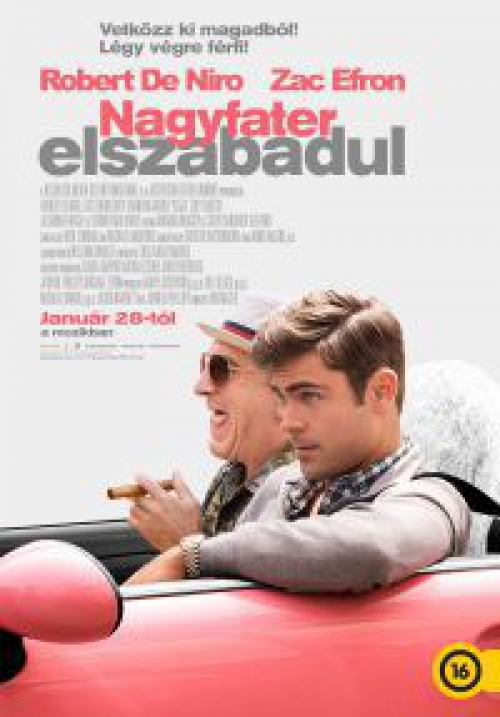 Nagyfater elszabadul (DVD) *Robert De Niro - Zac Efron* *Antikvár - Kiváló állapotú*