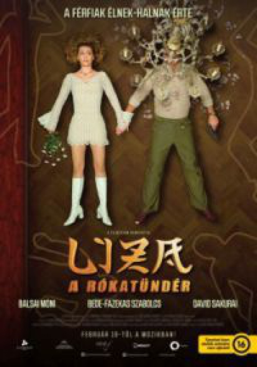 Liza, a rókatündér (DVD) *Balsai Mónika - Antikvár - Kiváló állapotú*