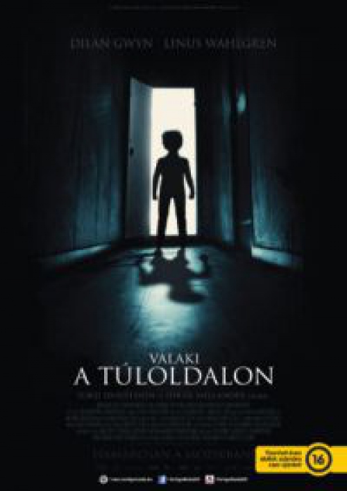 Valaki a túloldalon (DVD)