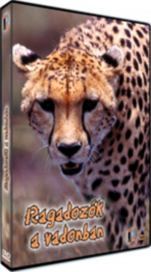 Ragadozók a vadonban (DVD) *Szinkronizált - Antikvár - Bontatlan*
