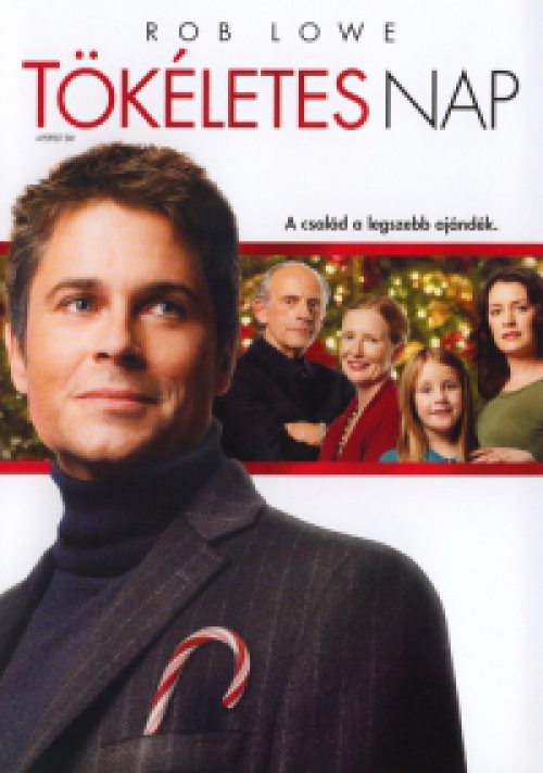 Tökéletes nap (DVD) *Rob Lowe - Christopher Lloyd - Antikvár - Kiváló állapotú*