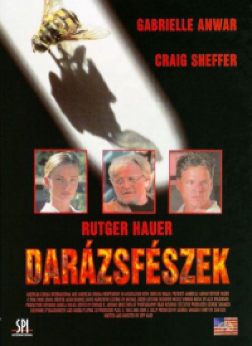 Darázsfészek (DVD) *Rutger Hauer - Antikvár - Kiváló állapotú*