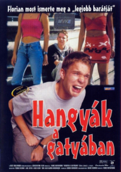 Hangyák a gatyában (DVD) *Antikvár - Kiváló állapotú*