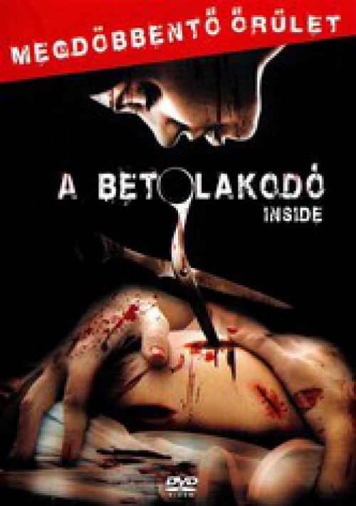 A betolakodó (2007) (DVD)  *Antikvár - Kiváló állapotú*