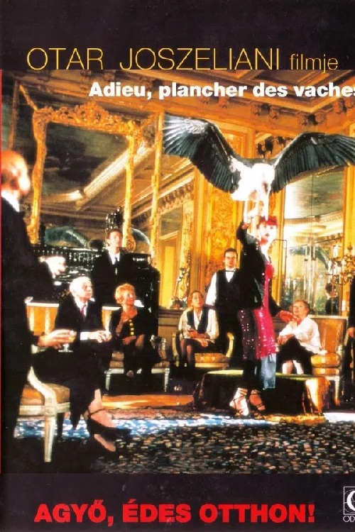 Agyő, édes otthon! (DVD) *Antikvár - Kiváló állapotú*