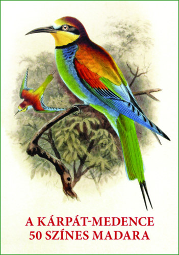 A Kárpát-medence 50 színes madara