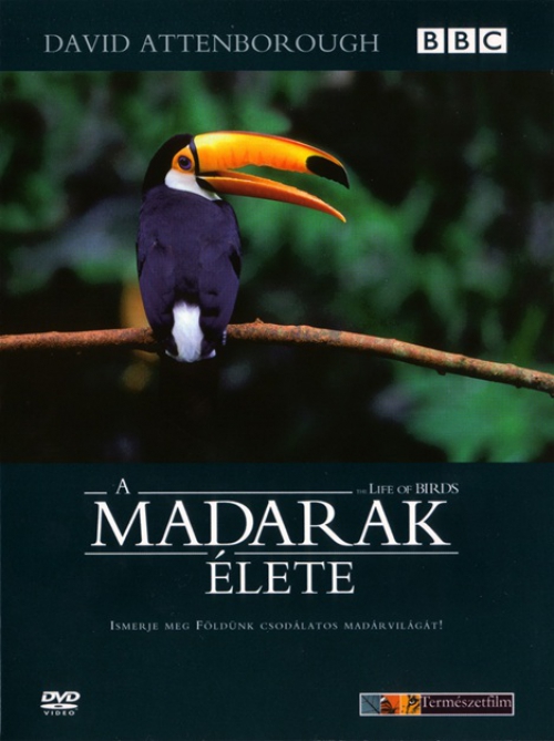 David Attenborough - A Madarak Élete *BBC* (4 DVD) *Díszdobozos* *Gyűjtői példány - Antikvár - Kiváló állapotú*