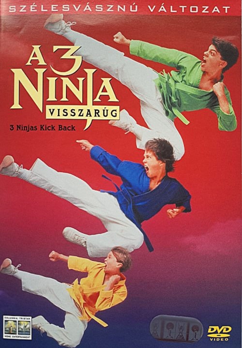 A 3 ninja visszarúg (DVD) *Victor Wong - Antikvár - Kiváló állapotú*