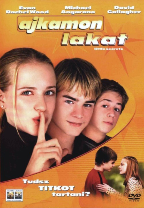 Ajkamon lakat (DVD) *Evan Rachel Wood - Antikvár - Kiváló állapotú*