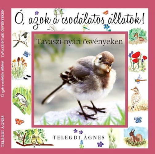 Ó, azok a csodálatos állatok - Tavaszi-nyári ösvényeken