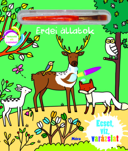 Ecset, víz, varázslat - Erdei állatok