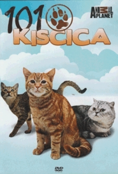101 Kiscica - Cats 101 (DVD)